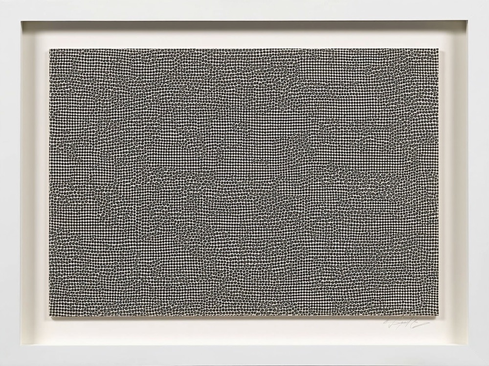 草間彌生 版画「網」